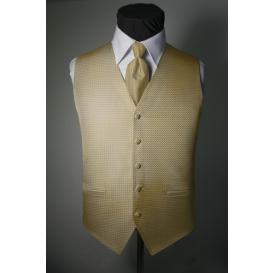 Custom Color Venetian Tuxedo Vest and Tie Set