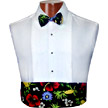 Destinations Cummerbund and Bow Tie Set