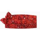 Holiday Sparkle Cummerbund and Bow Tie Set